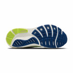 Brooks Ghost 17